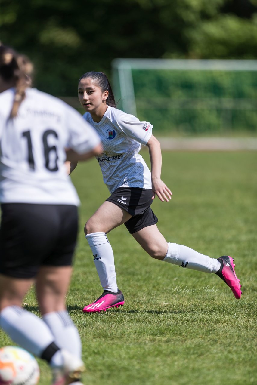 Bild 196 - wBJ VfL Pinneberg - Harksheide : Ergebnis: 2:1